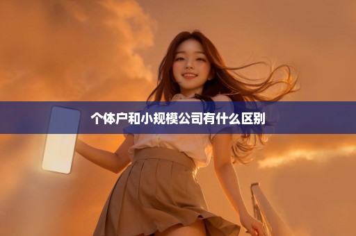 个体户和小规模公司有什么区别