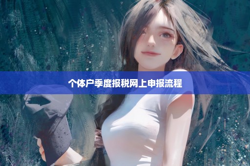个体户季度报税网上申报流程