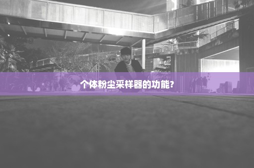 个体粉尘采样器的功能？