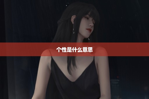 个性是什么意思