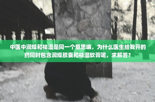 中医中润燥和祛湿是同一个意思嘛，为什么医生给我开的药同时包含润燥胶囊和祛湿软膏呢，求解答？