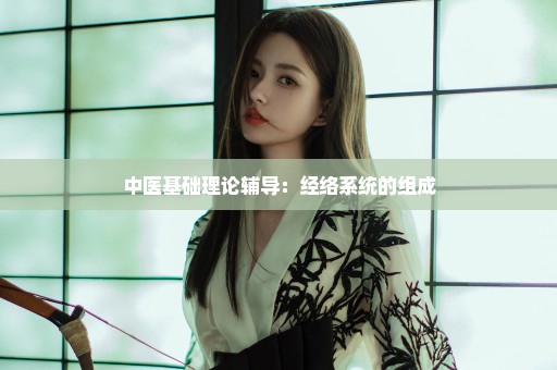 中医基础理论辅导：经络系统的组成