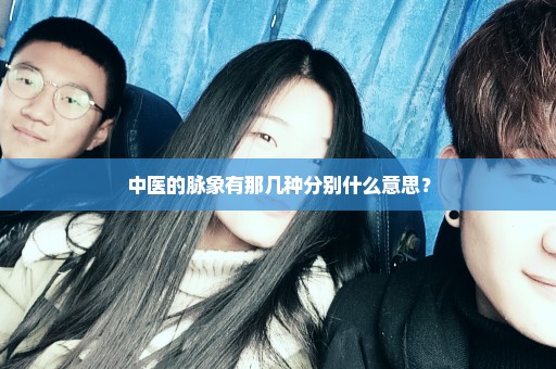 中医的脉象有那几种分别什么意思？