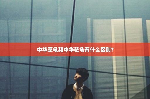 中华草龟和中华花龟有什么区别？