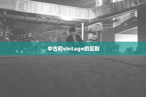 中古和vintage的区别