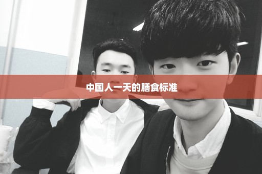 中国人一天的膳食标准