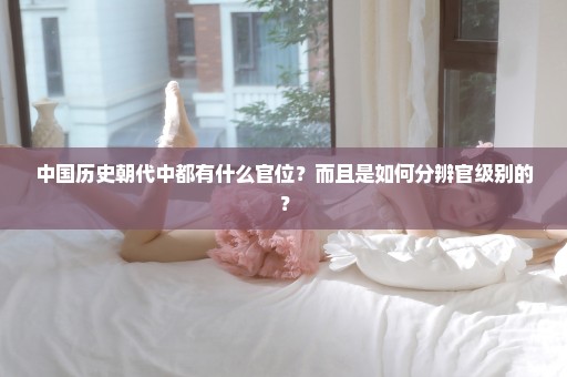 中国历史朝代中都有什么官位？而且是如何分辨官级别的？