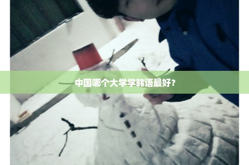 中国哪个大学学韩语最好？