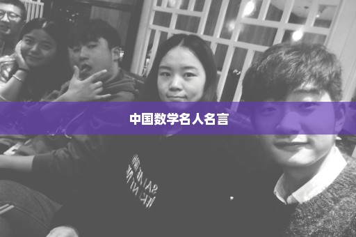 中国数学名人名言