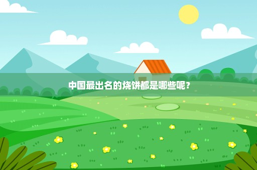 中国最出名的烧饼都是哪些呢？