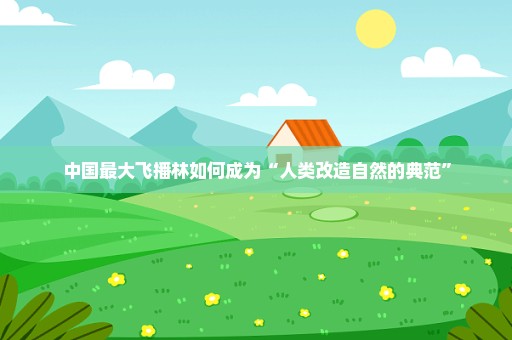 中国最大飞播林如何成为“人类改造自然的典范”