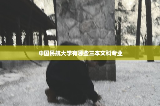 中国民航大学有哪些三本文科专业