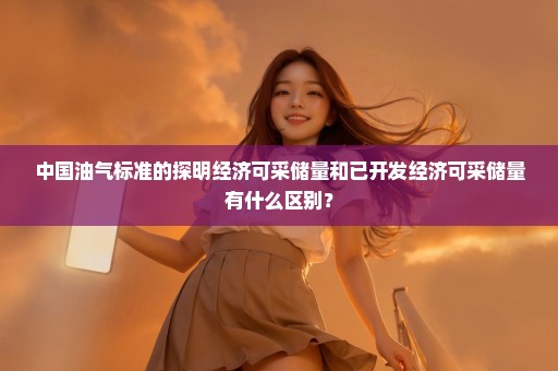 中国油气标准的探明经济可采储量和已开发经济可采储量有什么区别？