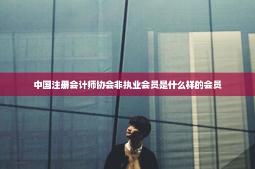 中国注册会计师协会非执业会员是什么样的会员