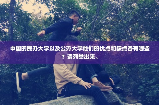 中国的民办大学以及公办大学他们的优点和缺点各有哪些？请列举出来。