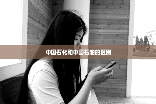 中国石化和中国石油的区别