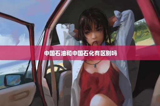 中国石油和中国石化有区别吗
