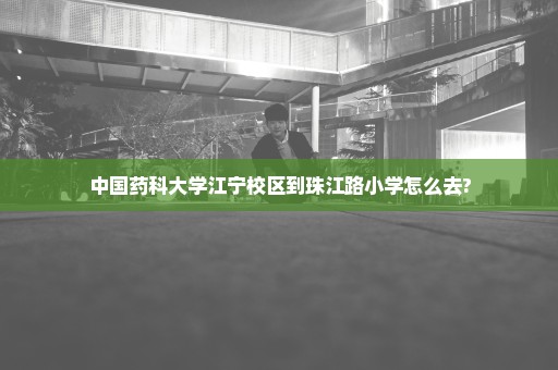 中国药科大学江宁校区到珠江路小学怎么去?