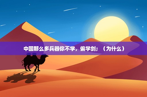 中国那么多兵器你不学，偏学剑；（为什么）