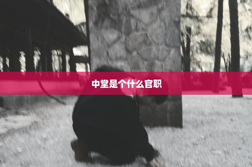 中堂是个什么官职