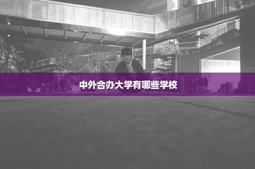 中外合办大学有哪些学校