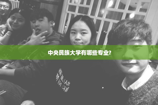 中央民族大学有哪些专业?