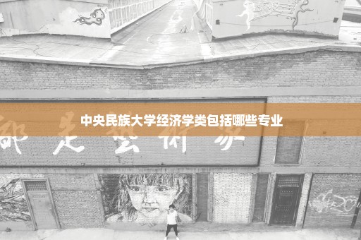 中央民族大学经济学类包括哪些专业