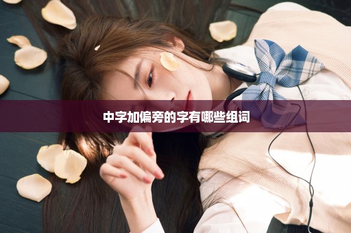 中字加偏旁的字有哪些组词
