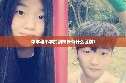 中学和小学的副校长有什么区别？