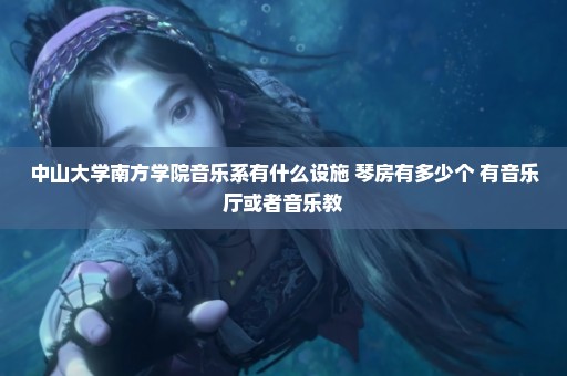 中山大学南方学院音乐系有什么设施 琴房有多少个 有音乐厅或者音乐教