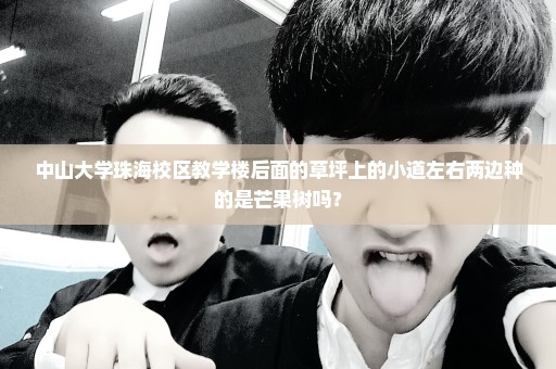 中山大学珠海校区教学楼后面的草坪上的小道左右两边种的是芒果树吗？