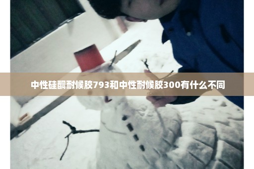 中性硅酮耐候胶793和中性耐候胶300有什么不同