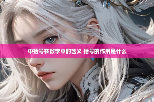 中括号在数学中的含义 括号的作用是什么