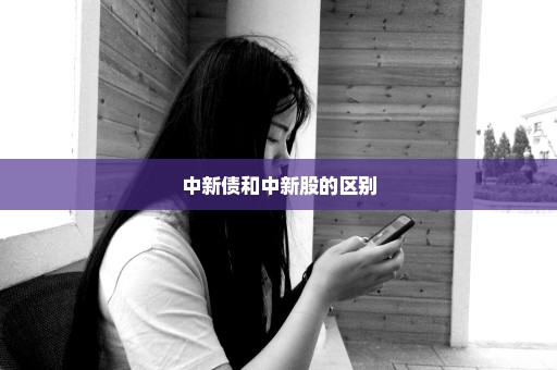 中新债和中新股的区别