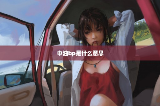 中油bp是什么意思
