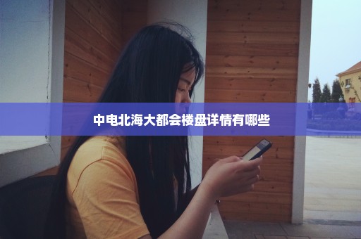 中电北海大都会楼盘详情有哪些