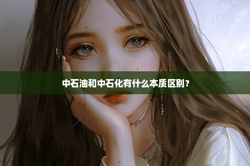 中石油和中石化有什么本质区别？