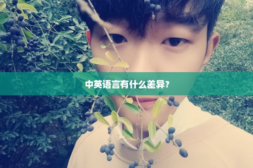 中英语言有什么差异？