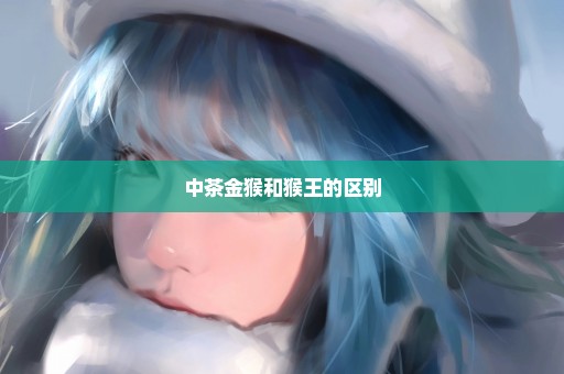 中茶金猴和猴王的区别