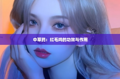 中草药：红毛鸡的功效与作用