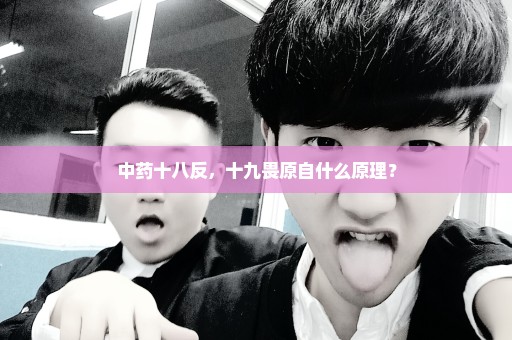 中药十八反，十九畏原自什么原理？
