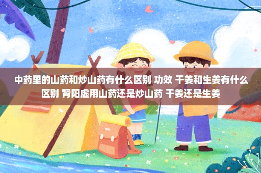 中药里的山药和炒山药有什么区别 功效 干姜和生姜有什么区别 肾阳虚用山药还是炒山药 干姜还是生姜
