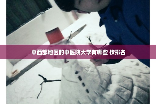 中西部地区的中医院大学有哪些 按排名