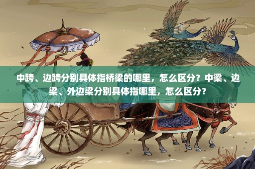 中跨、边跨分别具体指桥梁的哪里，怎么区分？中梁、边梁、外边梁分别具体指哪里，怎么区分？