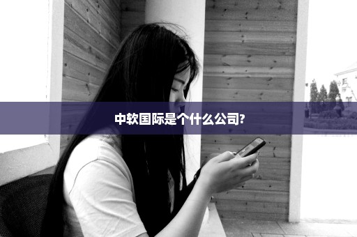 中软国际是个什么公司?