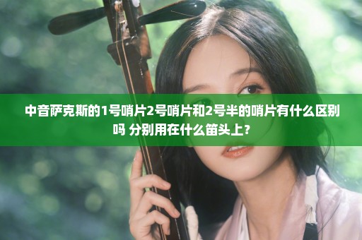 中音萨克斯的1号哨片2号哨片和2号半的哨片有什么区别吗 分别用在什么笛头上？