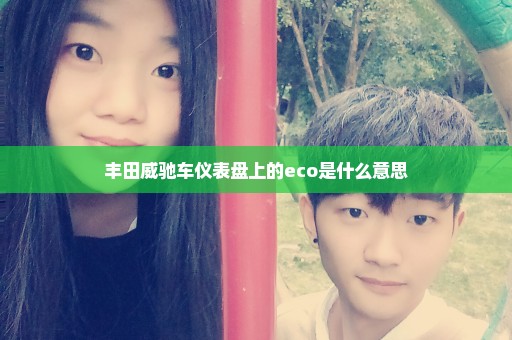 丰田威驰车仪表盘上的eco是什么意思