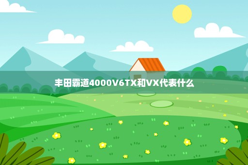 丰田霸道4000V6TX和VX代表什么