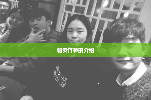 临安竹笋的介绍