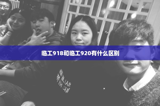 临工918和临工920有什么区别